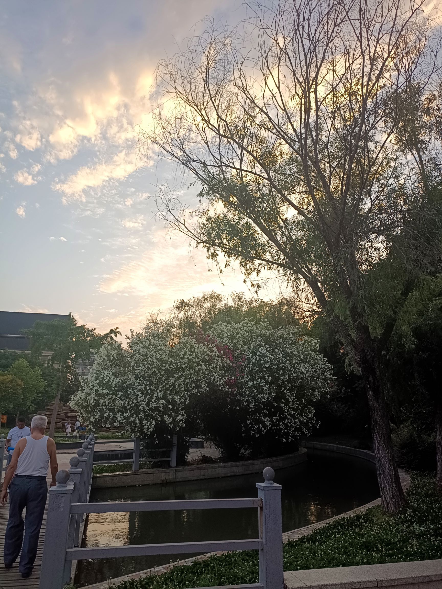 淮河公园旅行图片 2