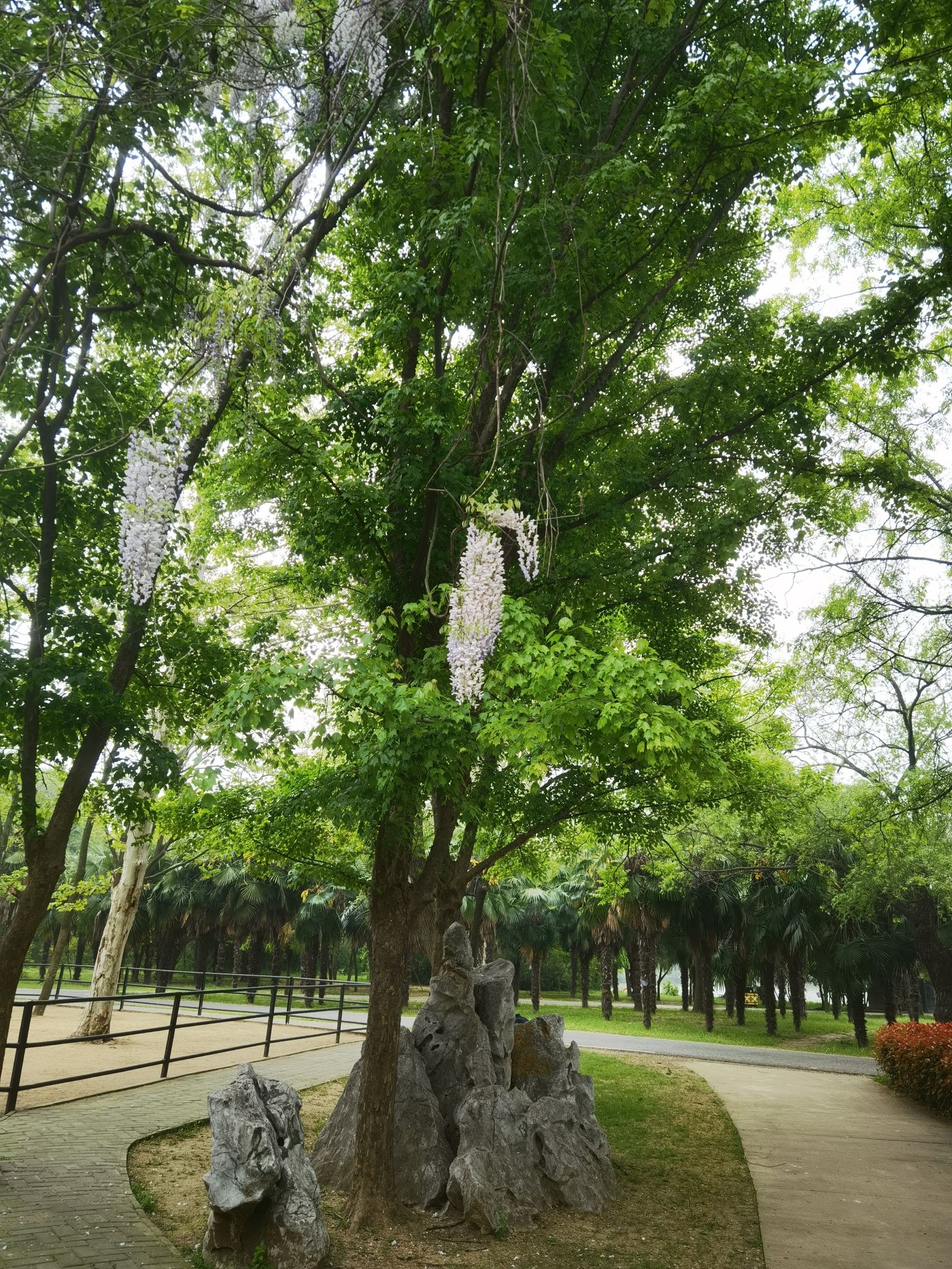 迪沟风景区旅行图片 2