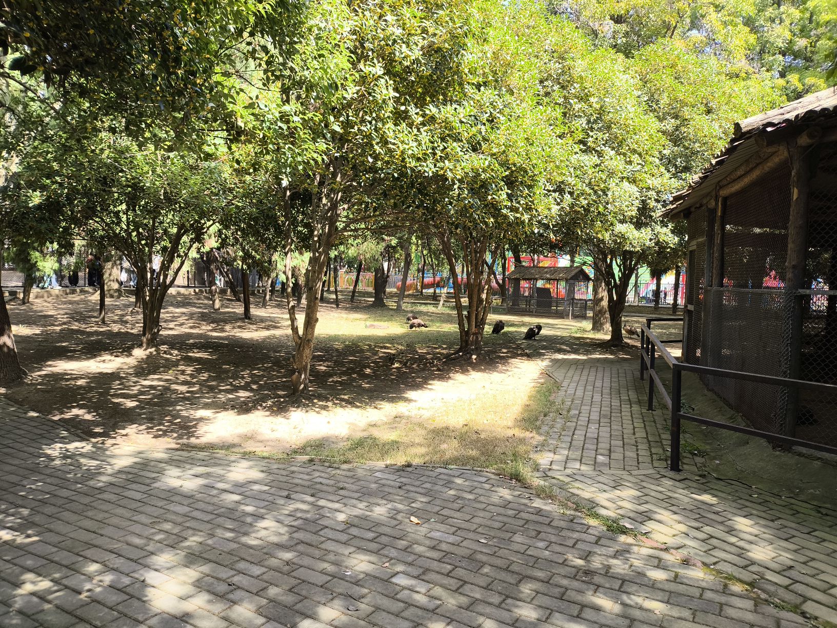 迪沟风景区旅行图片 3