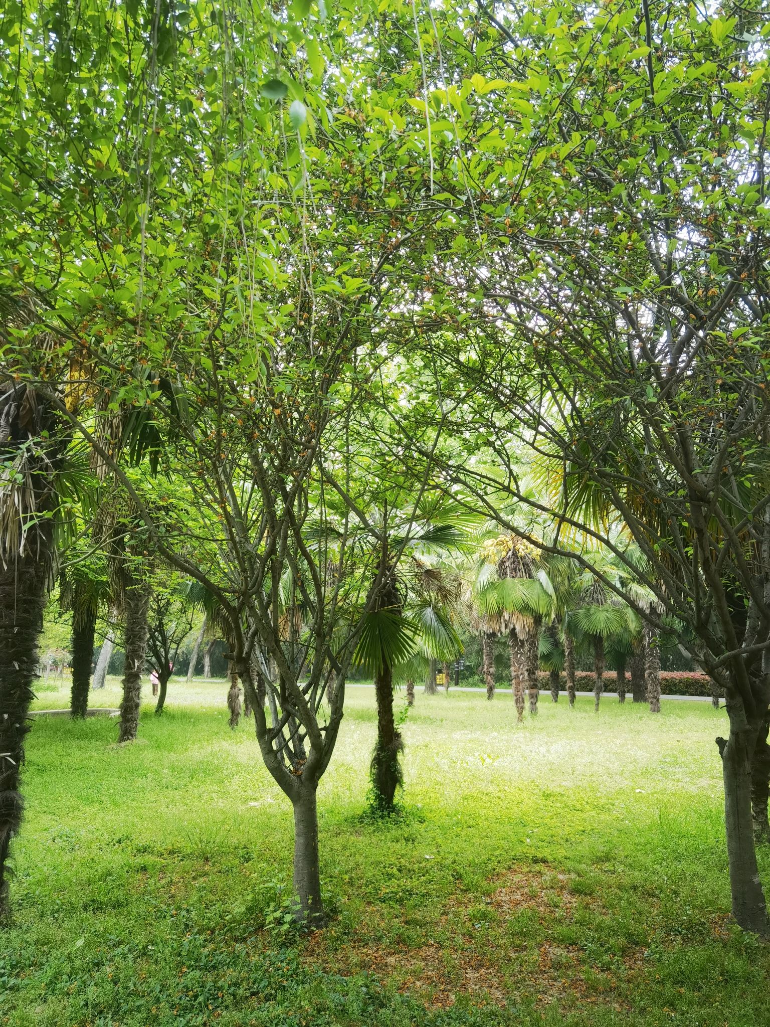 迪沟风景区旅行图片 3