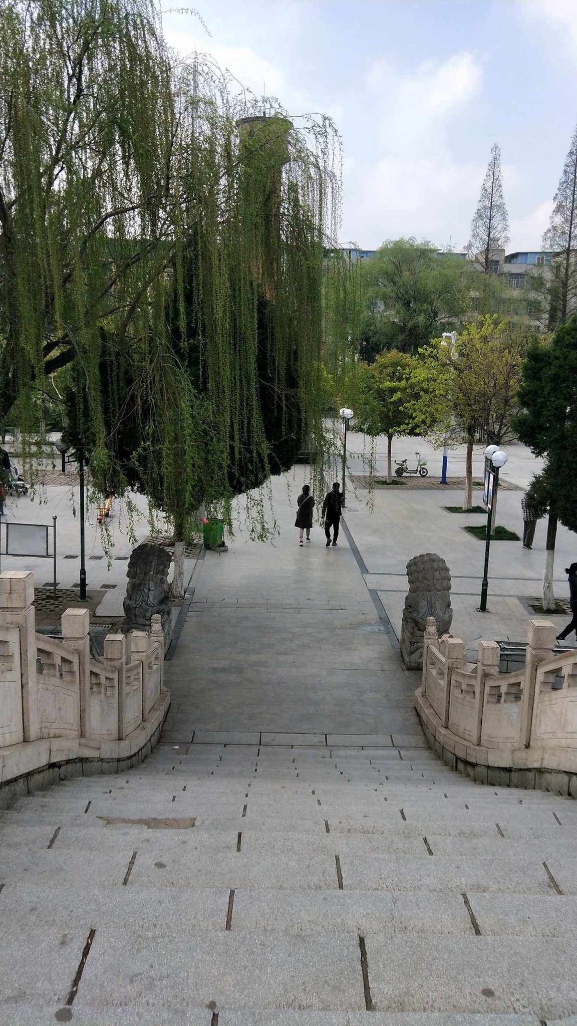太和公园旅行图片 3