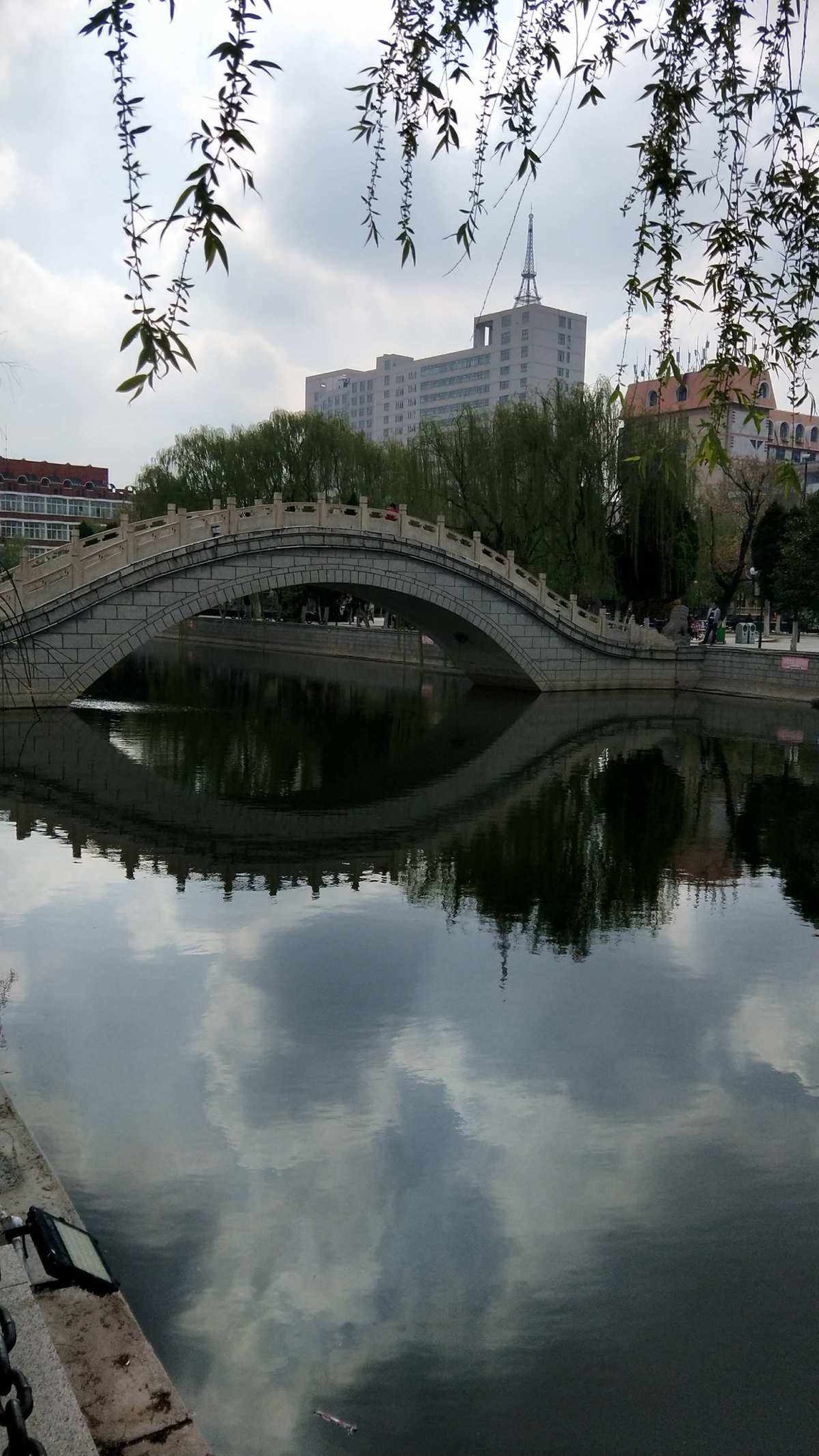 太和公园旅行图片 1