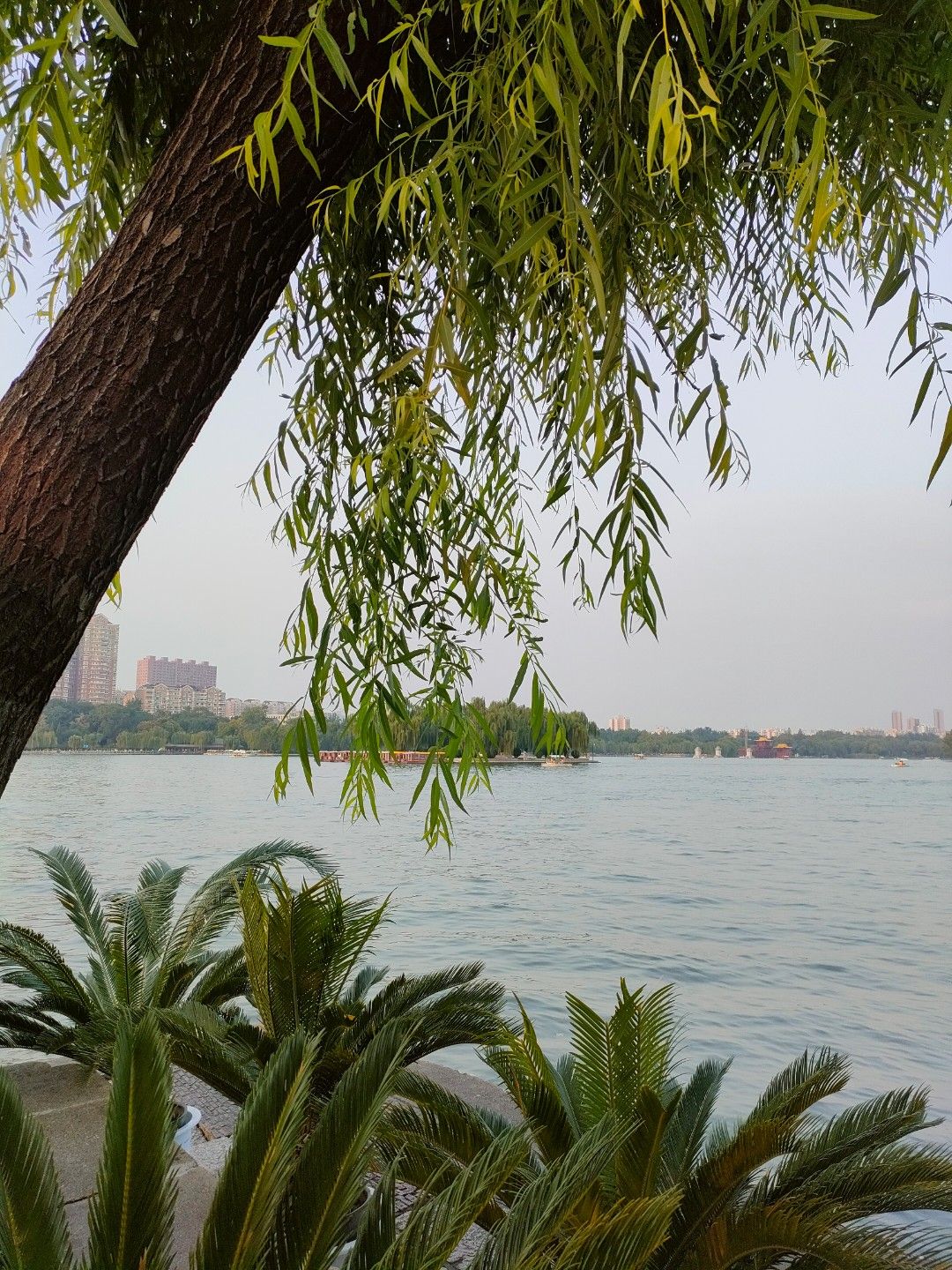 镜湖公园旅行图片 3