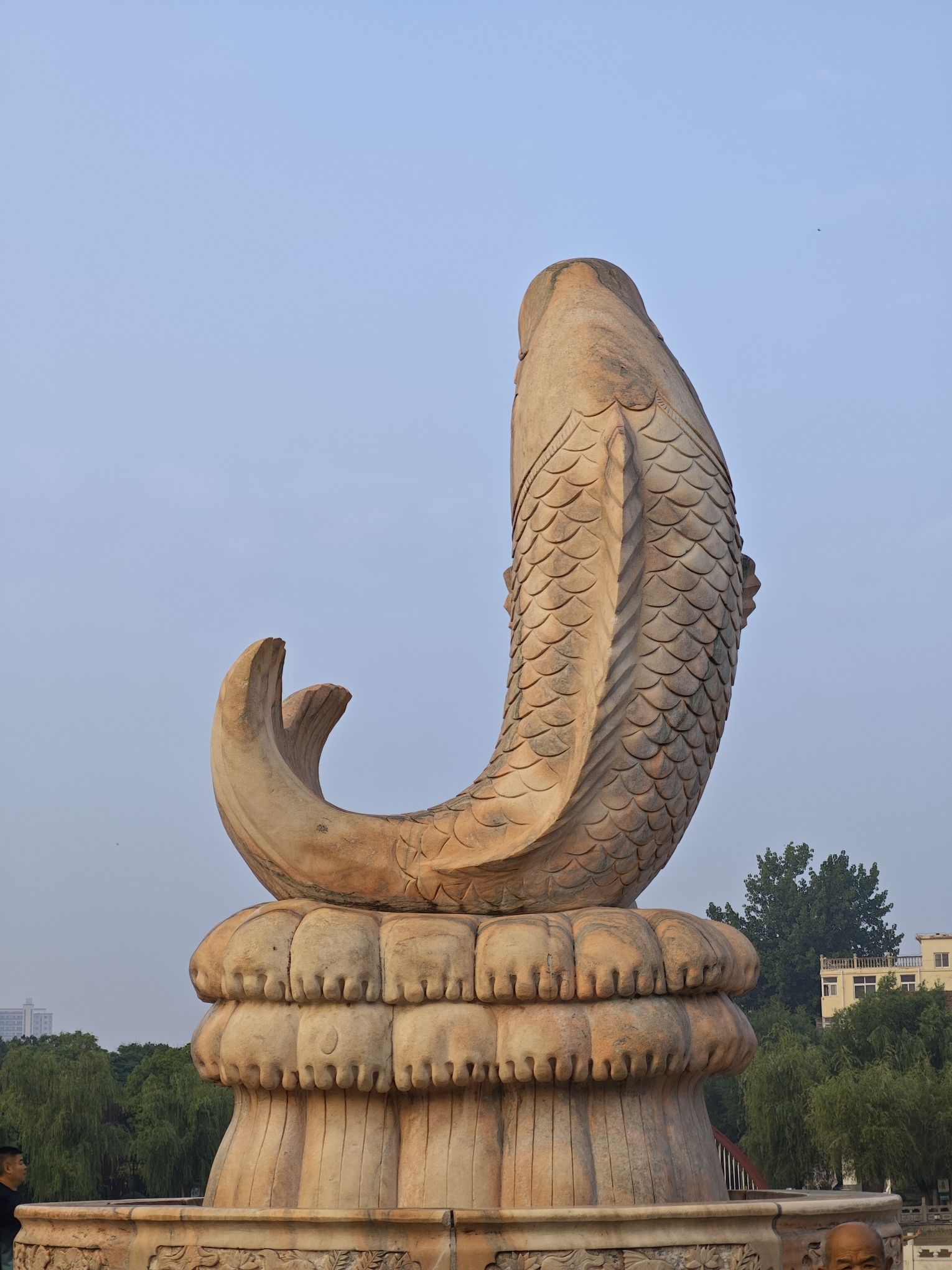 镜湖公园旅行图片 2