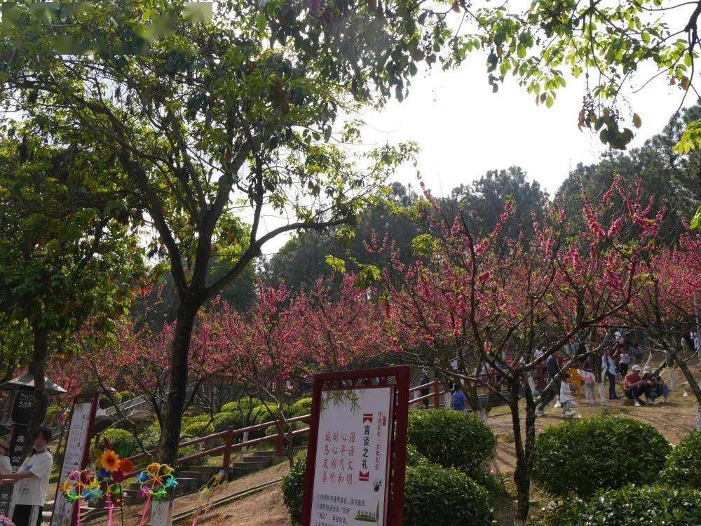 龚州公园旅行图片 1