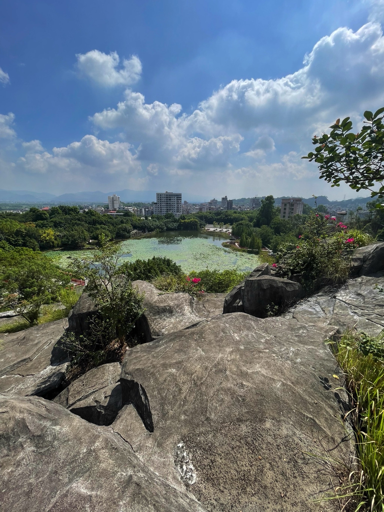 龚州公园旅行图片 3