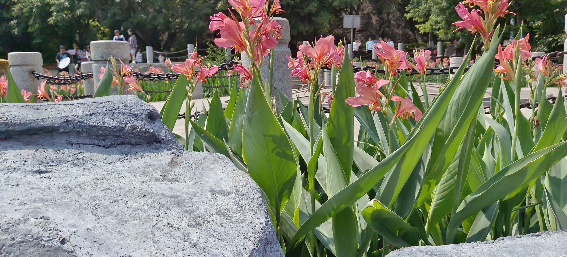 龚州公园旅行图片 3