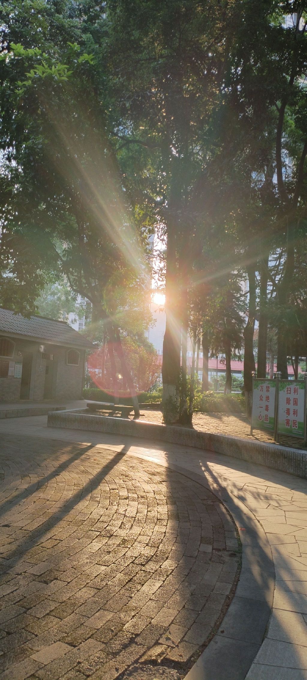 中山公园旅行图片 1