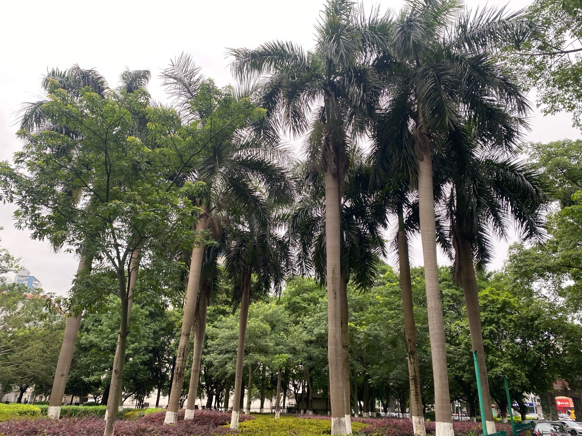 新世纪广场旅行图片 3