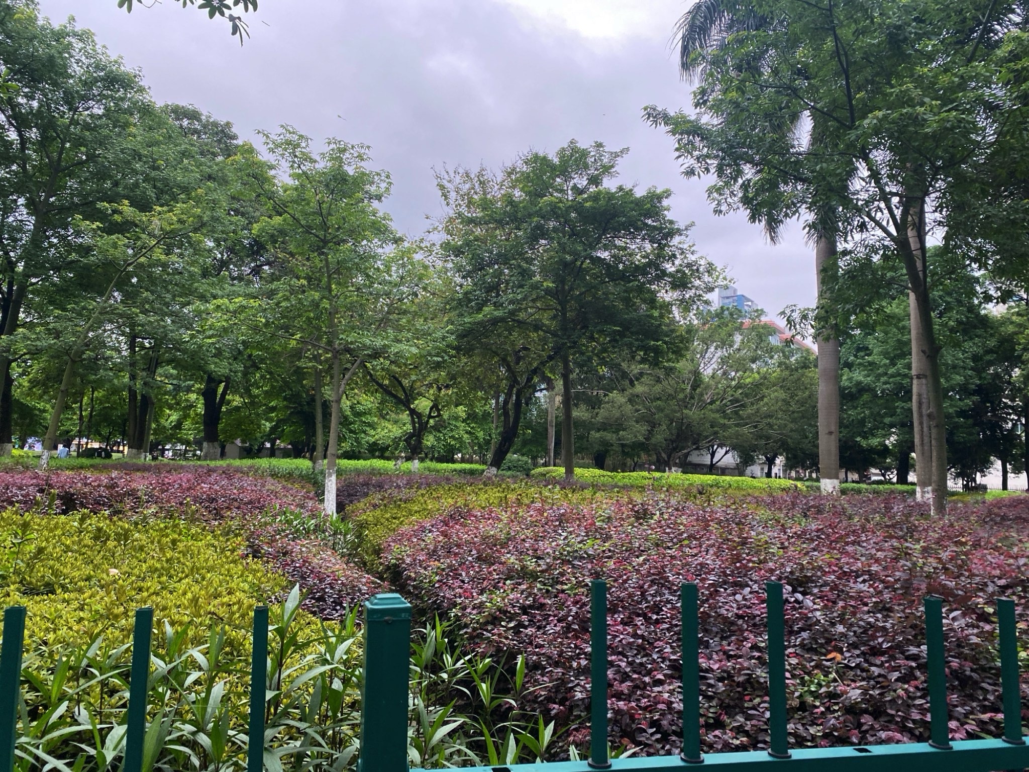 新世纪广场旅行图片 1