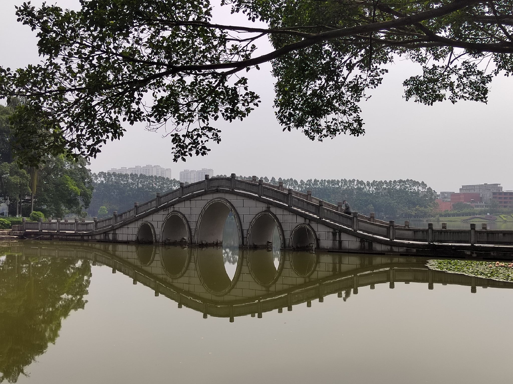 东湖风景名胜区旅行图片 3