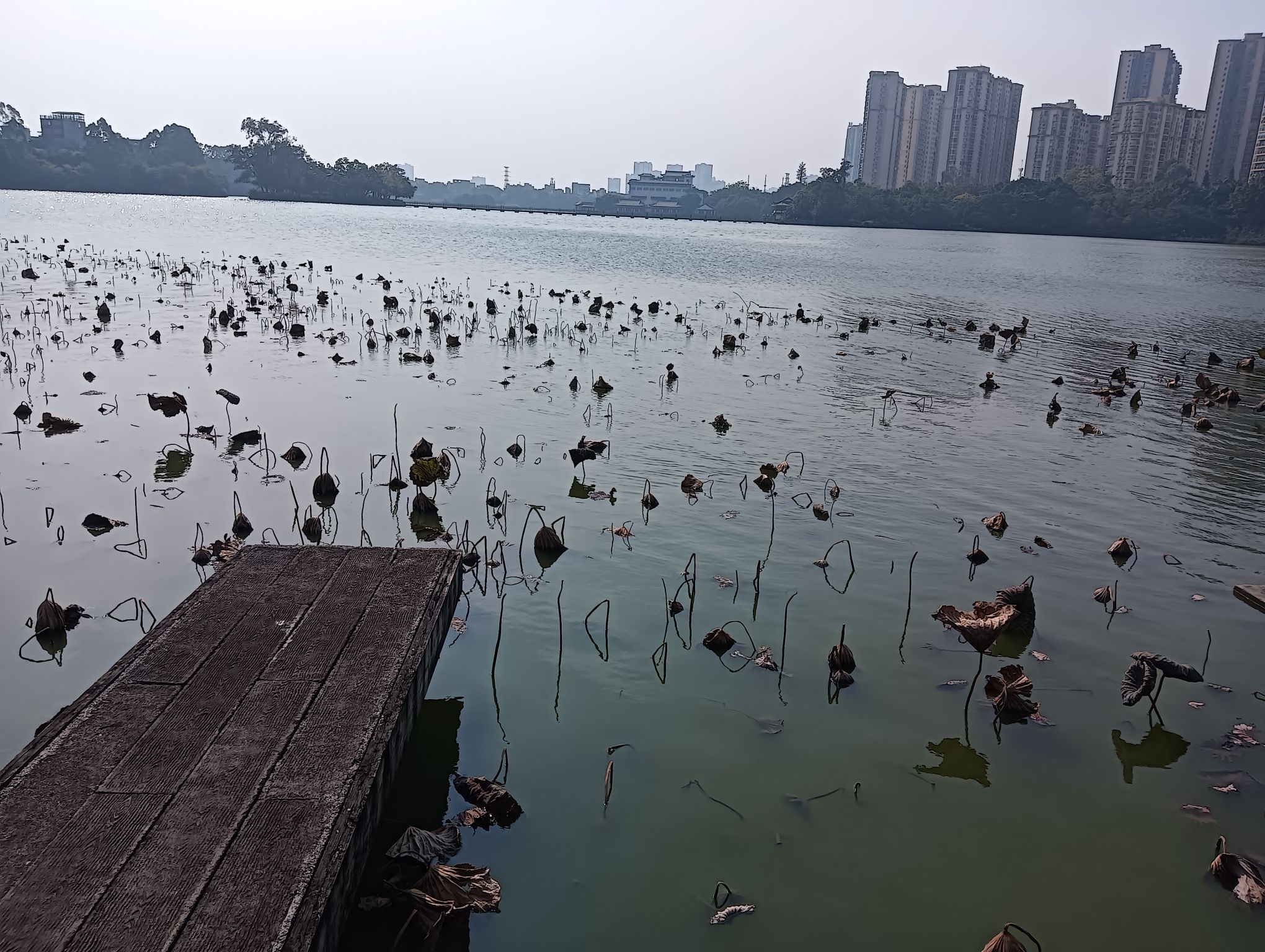 东湖风景名胜区旅行图片 1