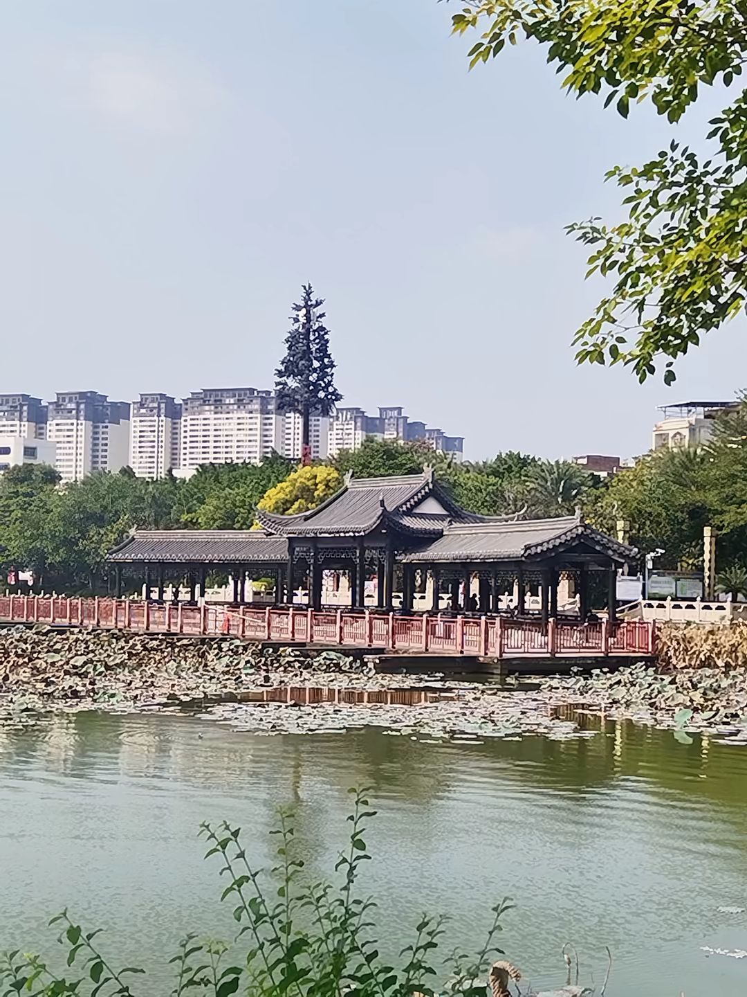 东湖风景名胜区旅行图片 2