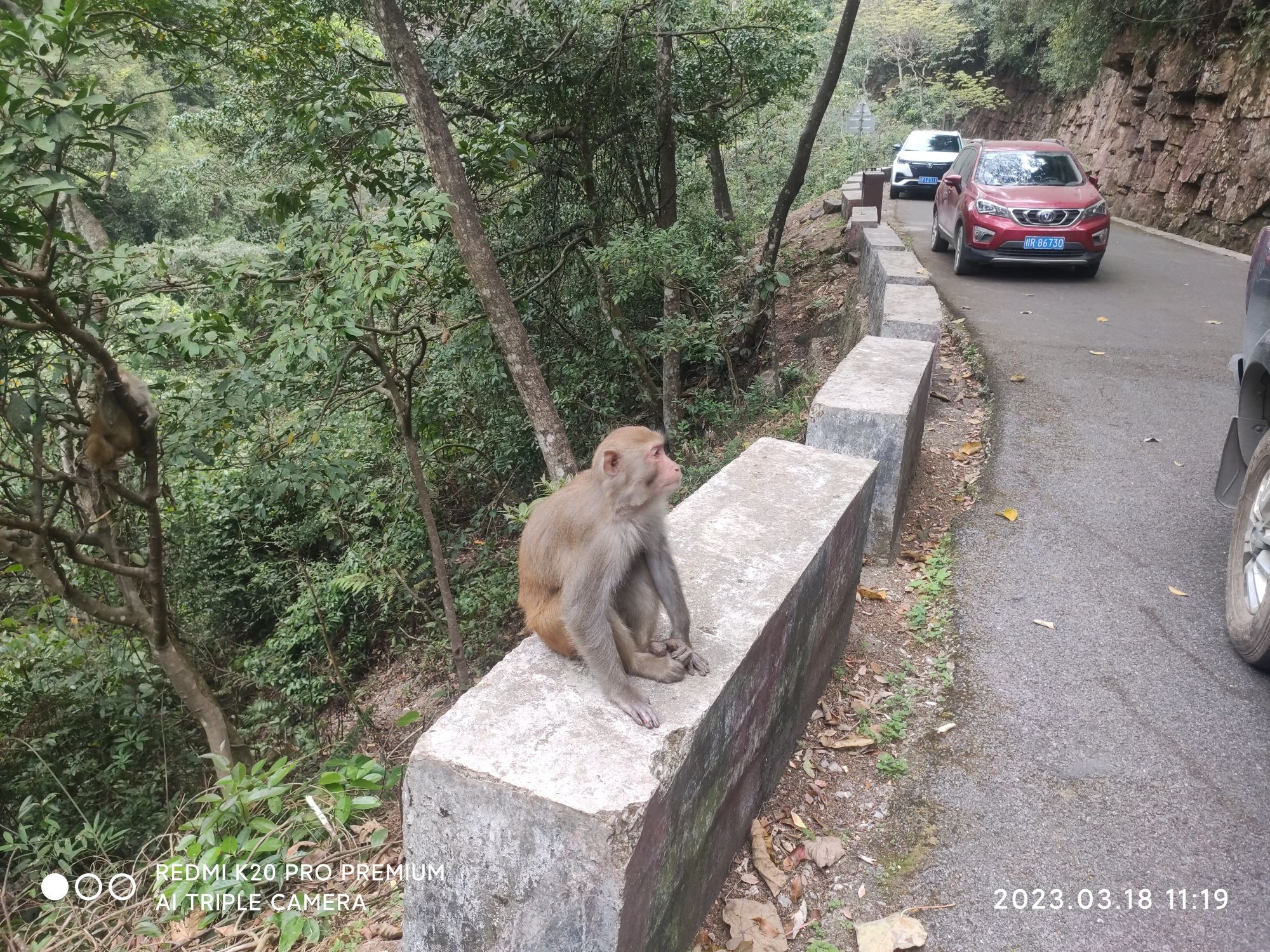 龙潭国家森林公园旅行图片 2