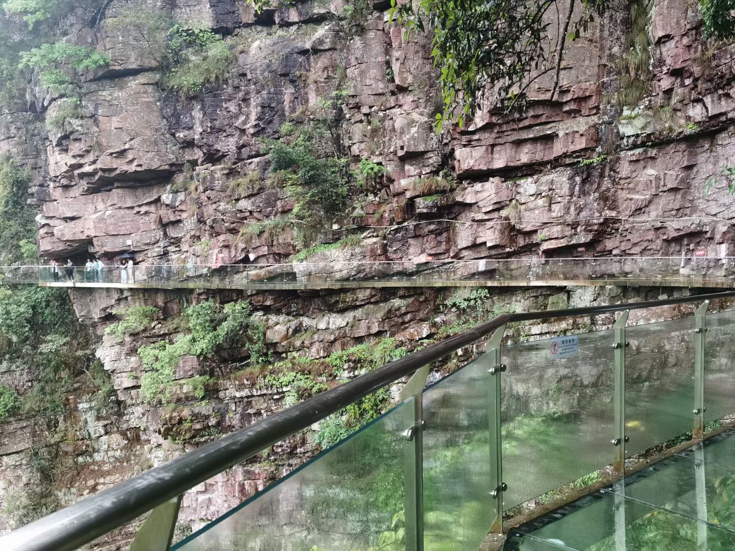 龙潭国家森林公园旅行图片 3