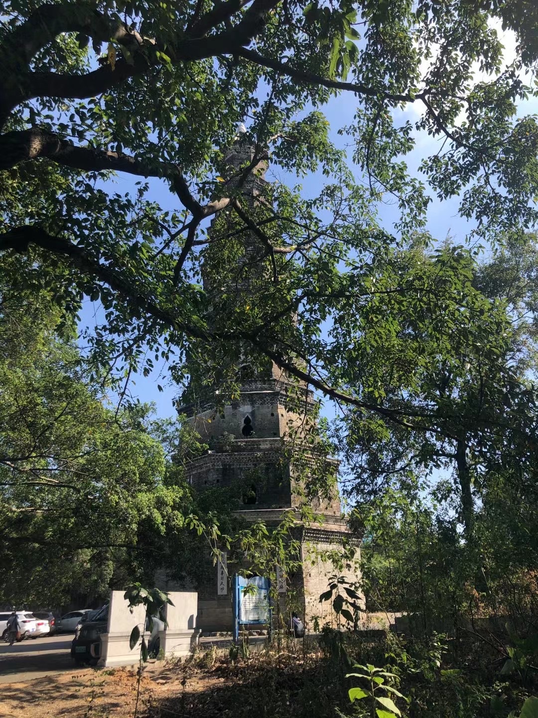 安澜塔旅行图片 2