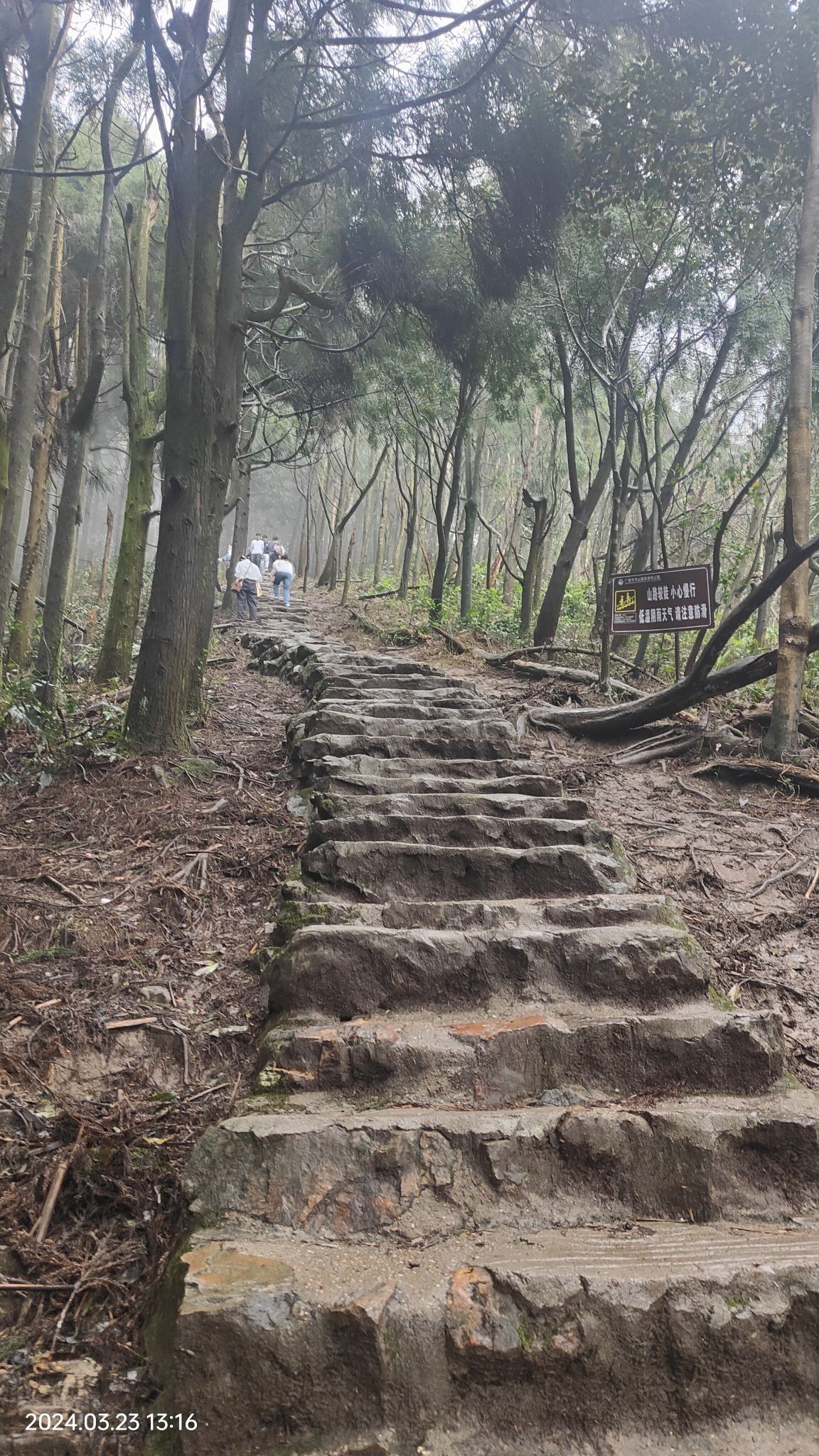 平天山国家森林公园旅行图片 3