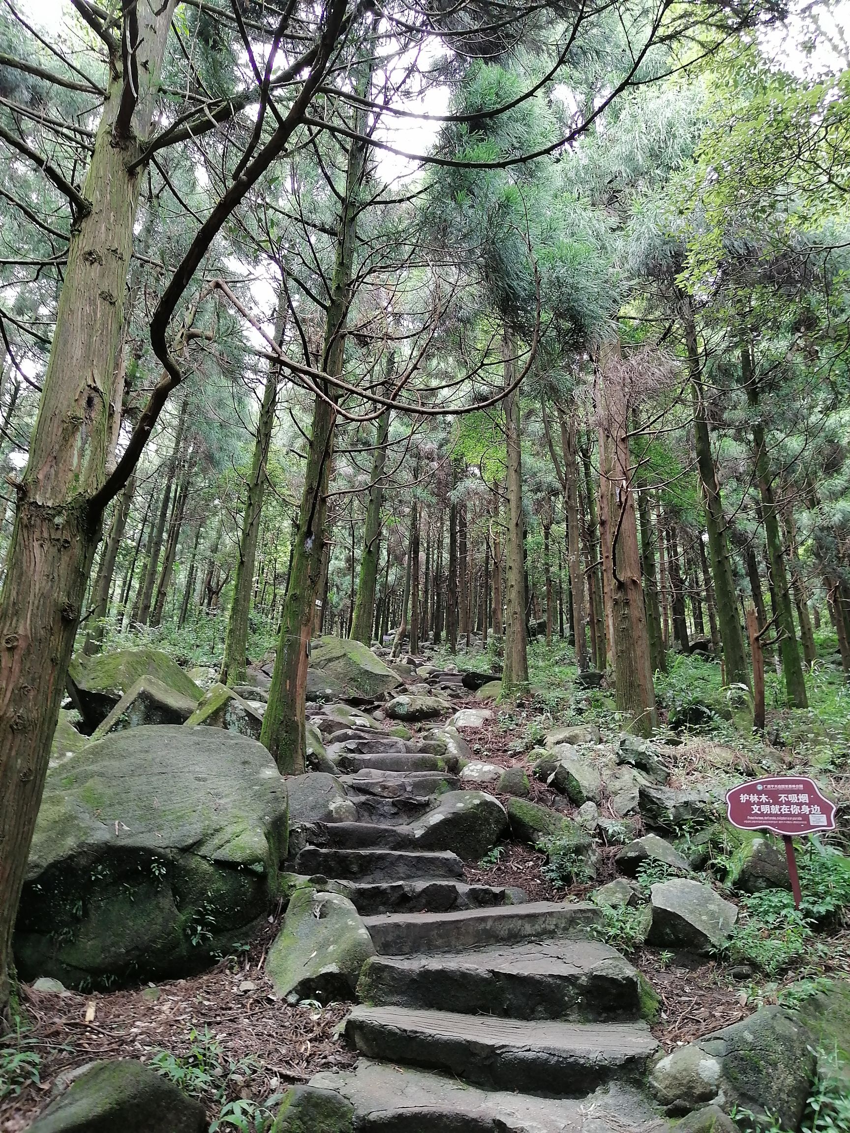 平天山国家森林公园旅行图片 3