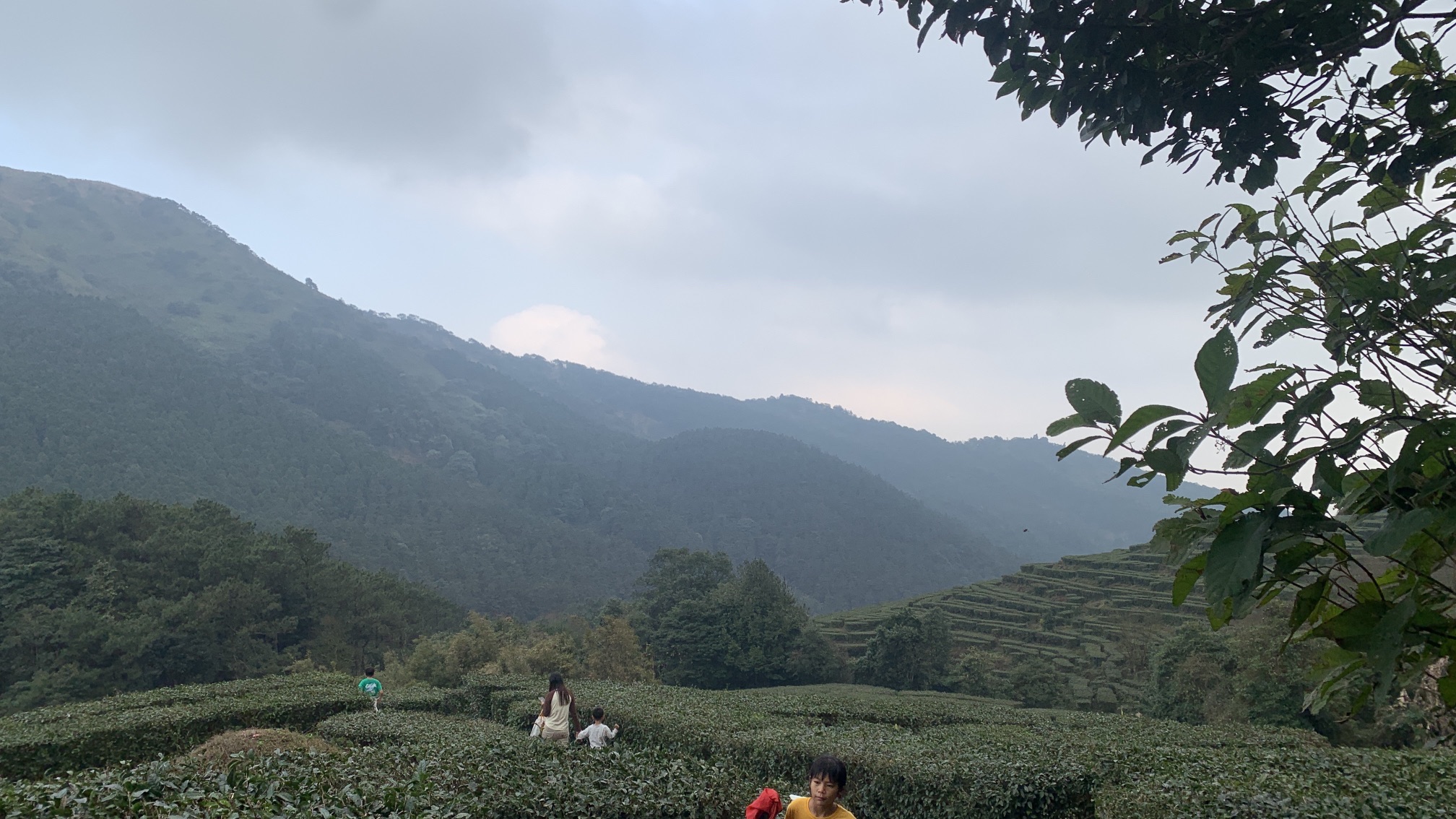 平天山国家森林公园旅行图片