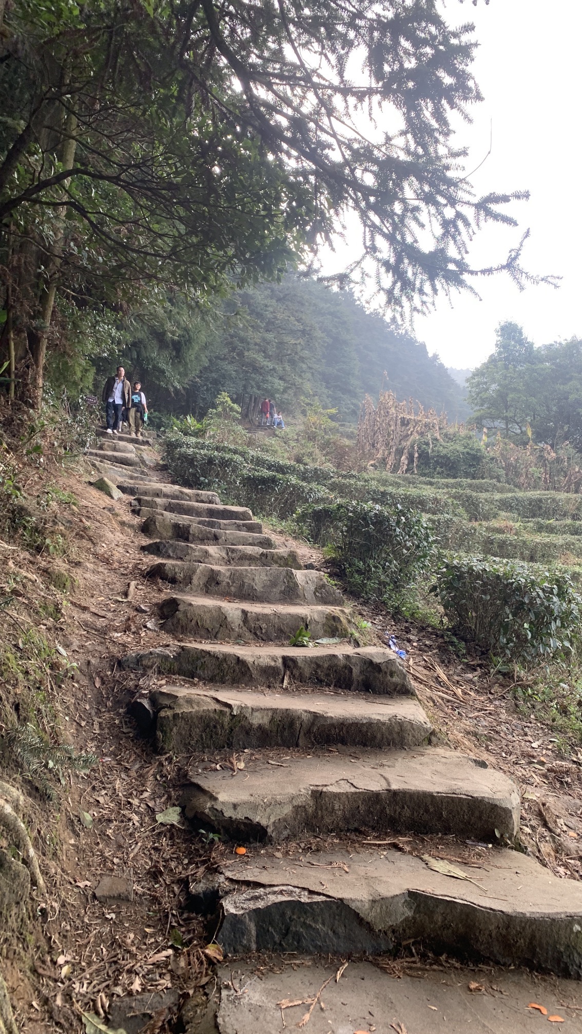 平天山国家森林公园旅行图片 2