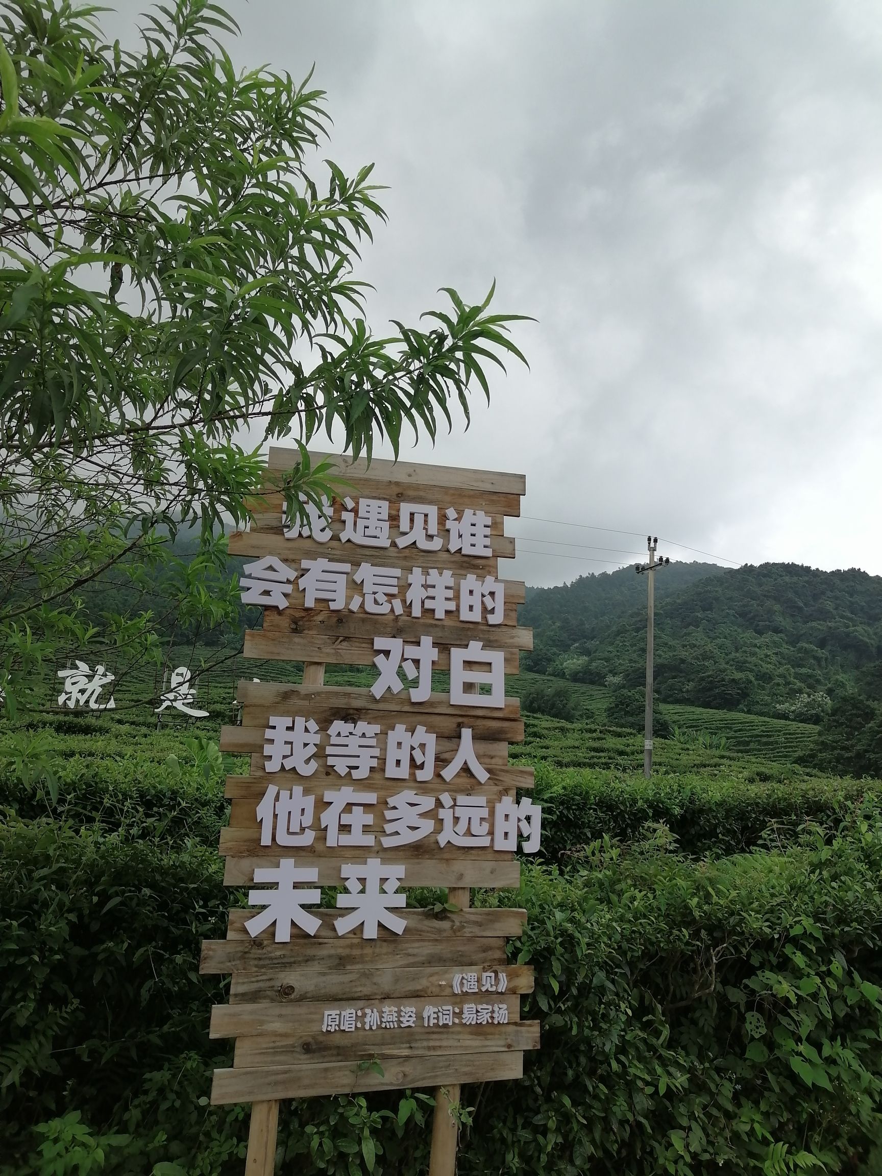 平天山国家森林公园旅行图片 2