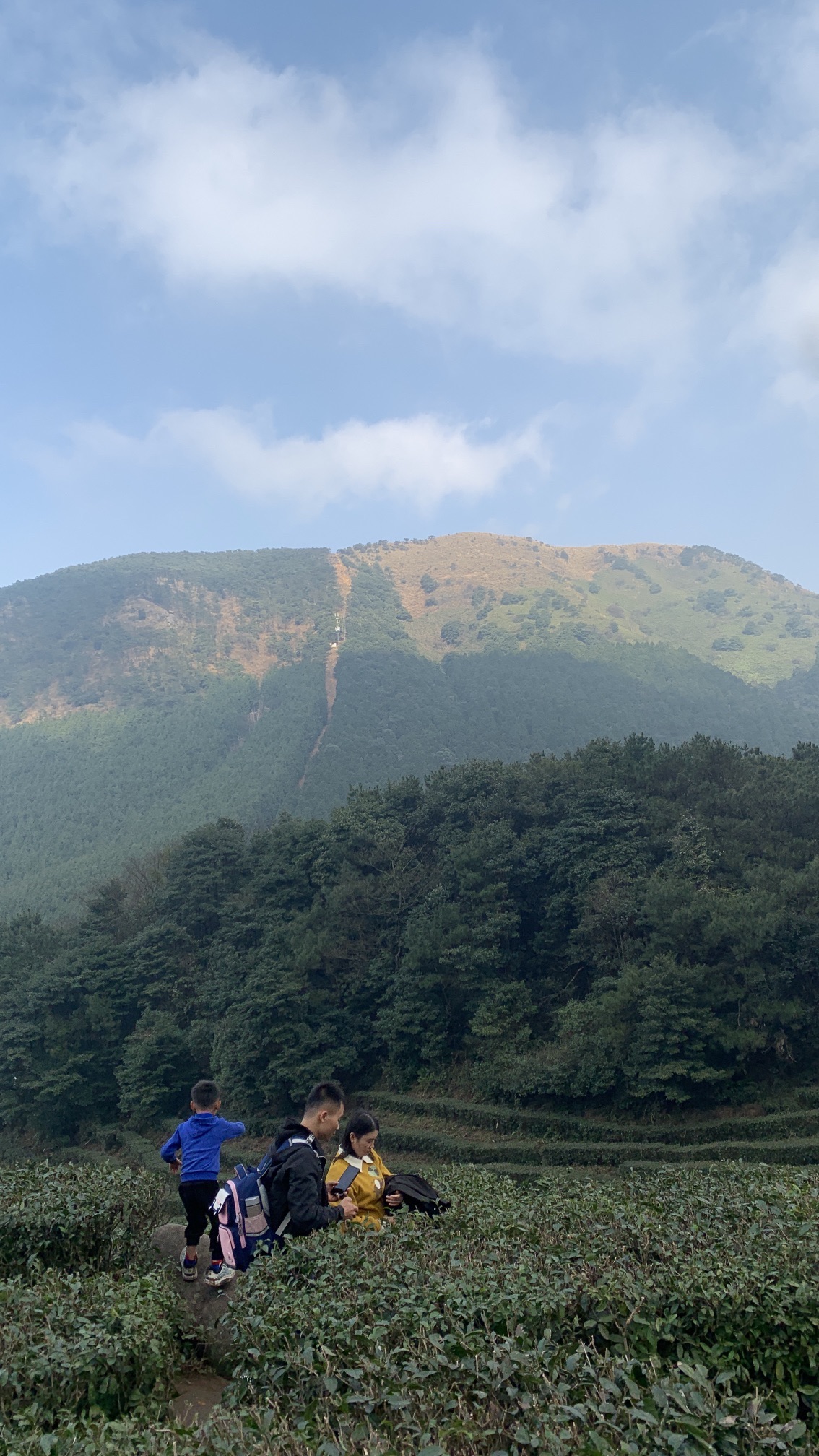 平天山国家森林公园旅行图片 3