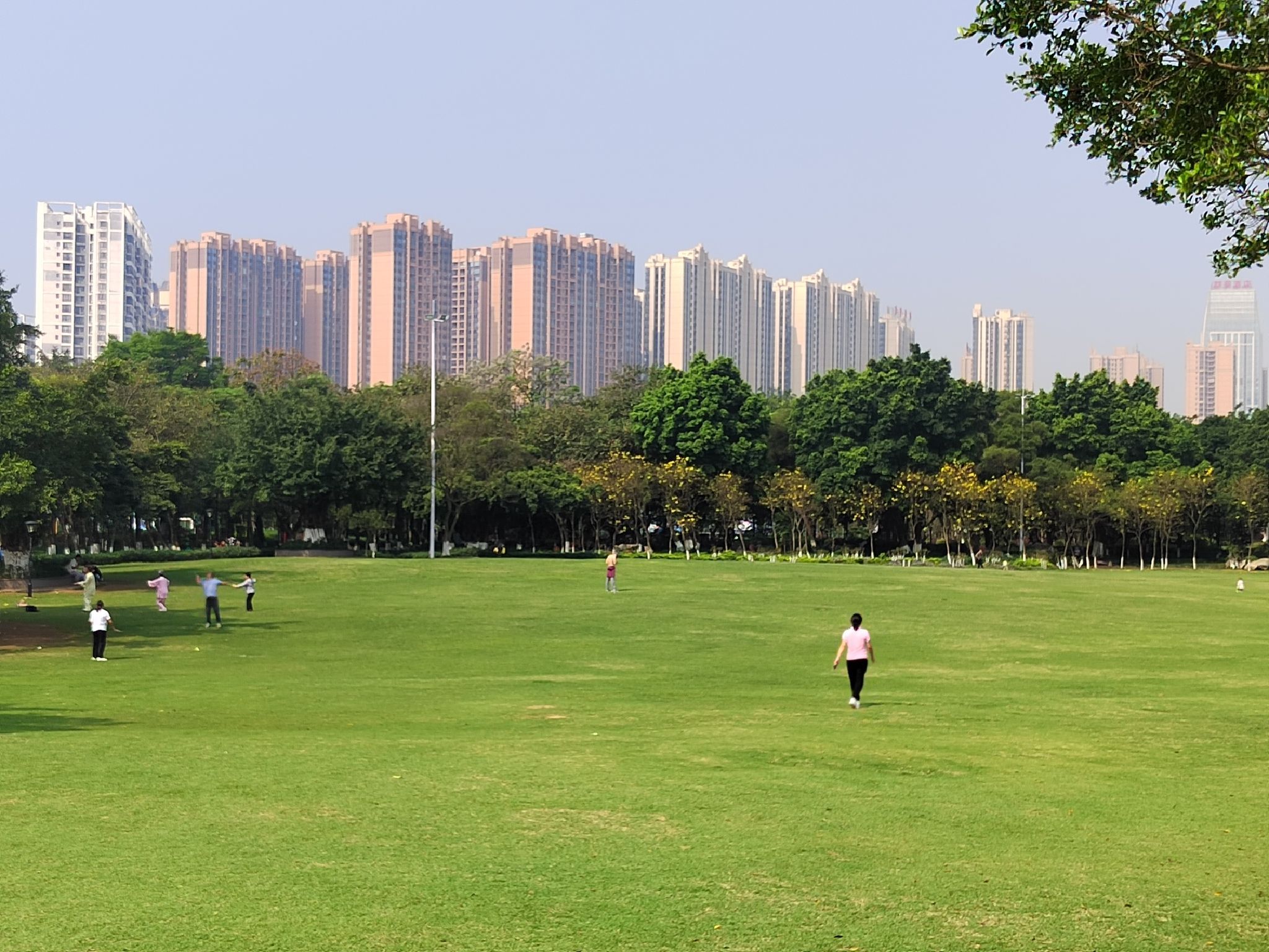 马草江生态公园旅行图片 2