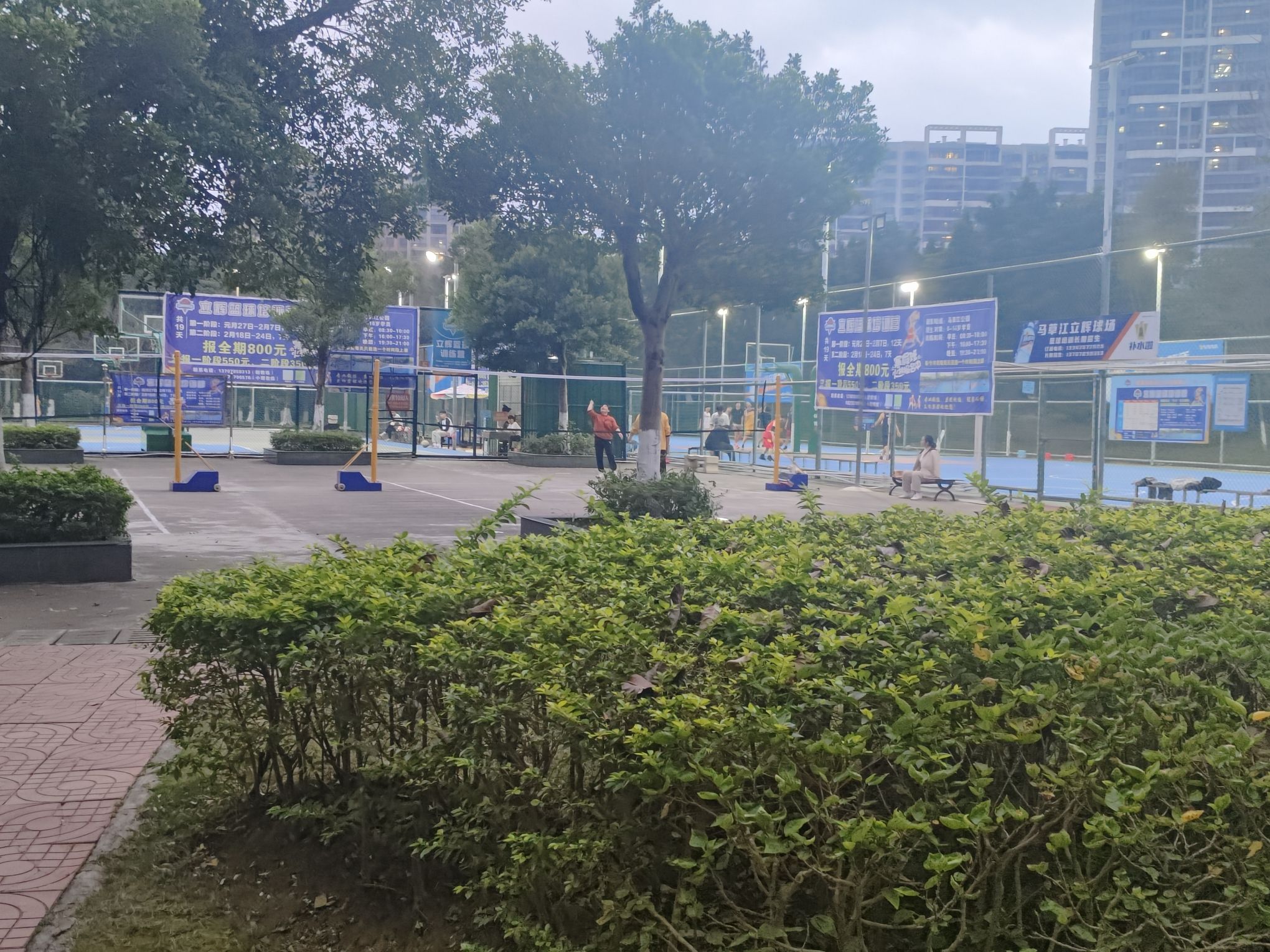 马草江生态公园旅行图片 2