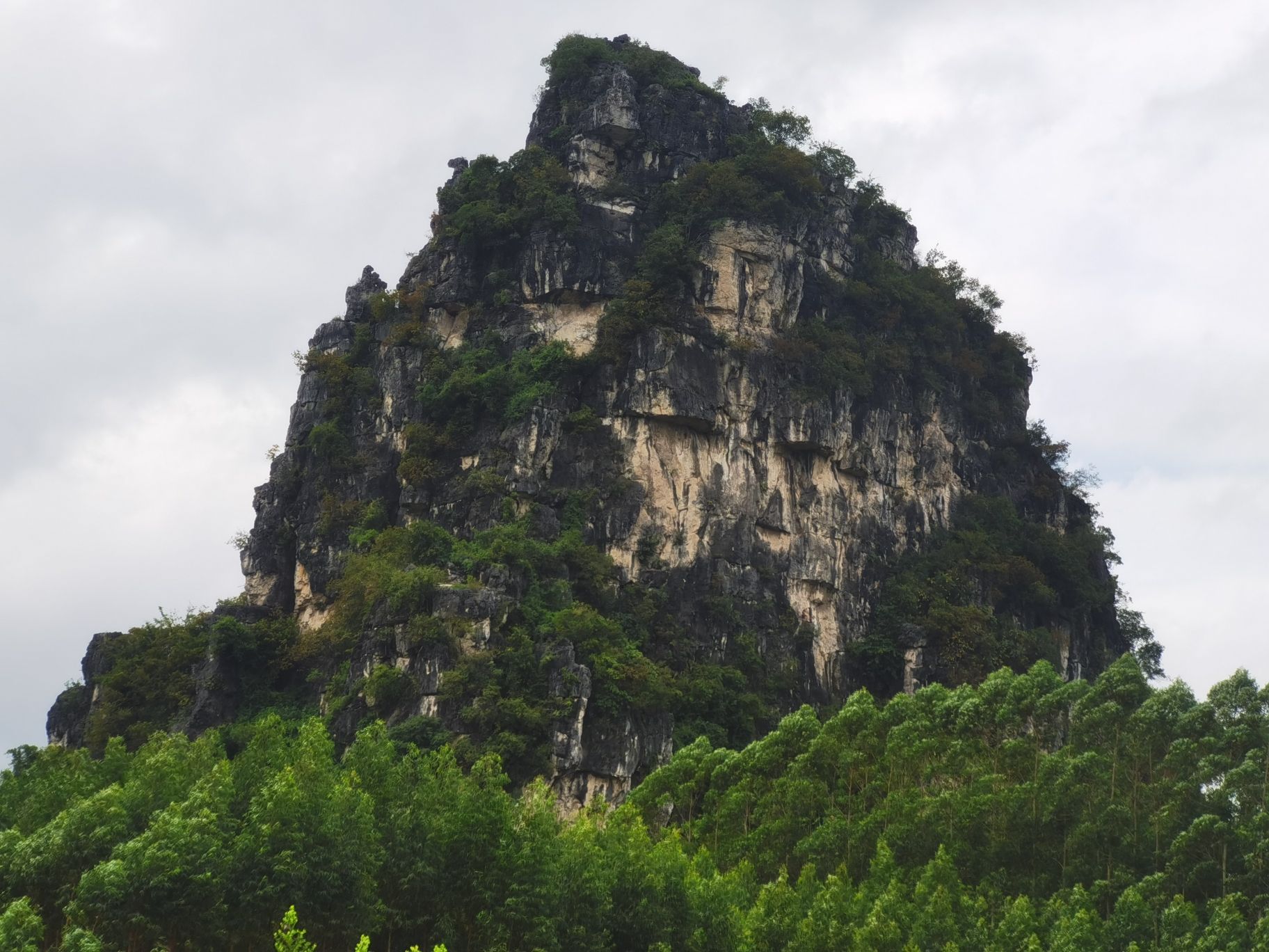 七星山旅行图片 3