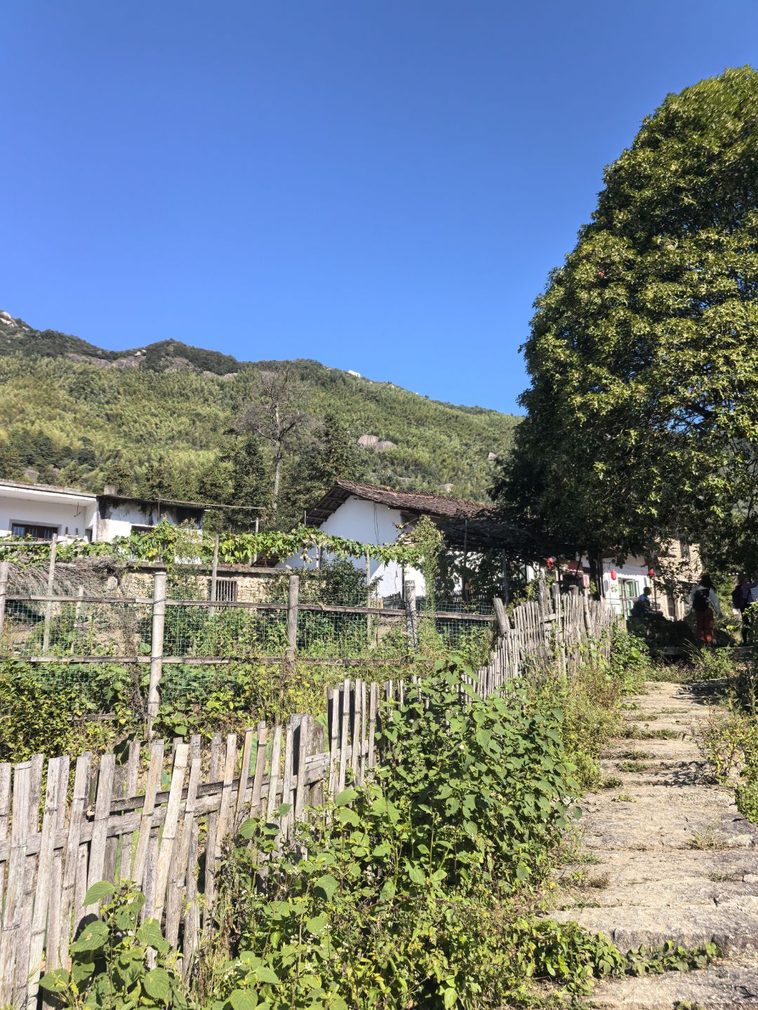 七星山旅行图片 3
