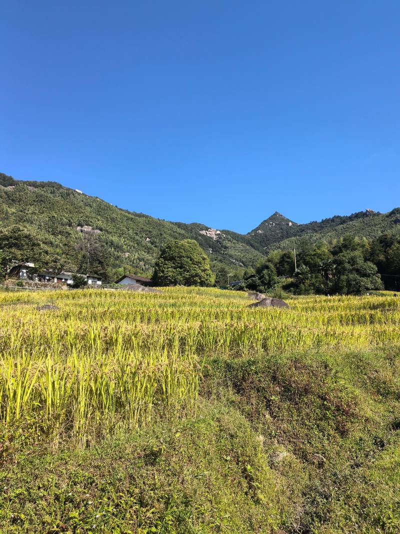 七星山旅行图片 2