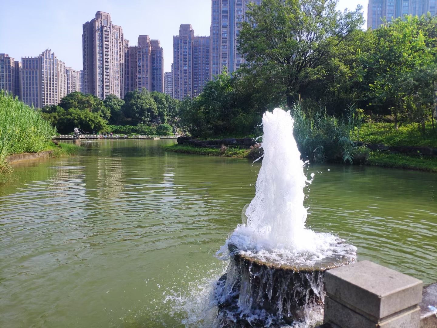 民族文化公园旅行图片 3