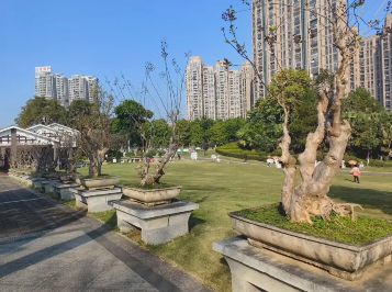 民族文化公园旅行图片 3