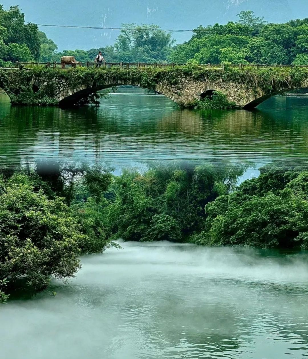黑水河景区旅行图片 3