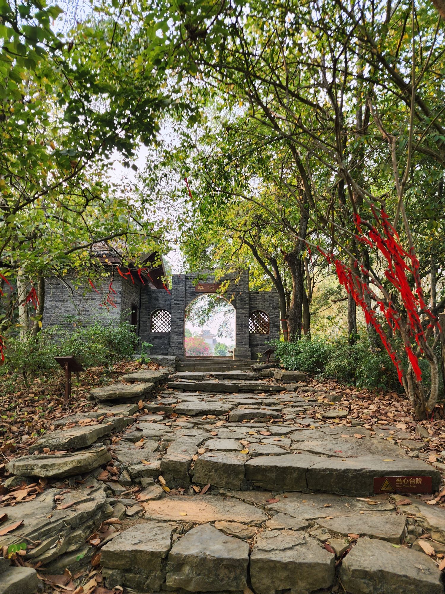 左江斜塔旅行图片 2