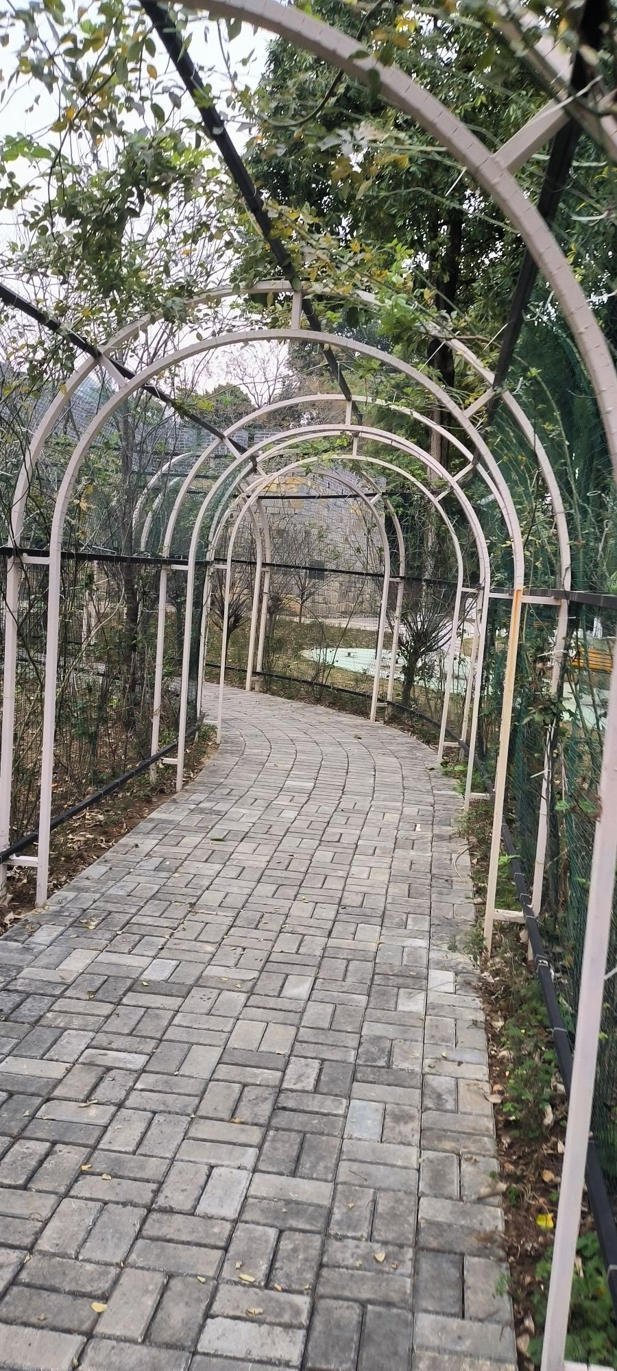 江北公园旅行图片 1
