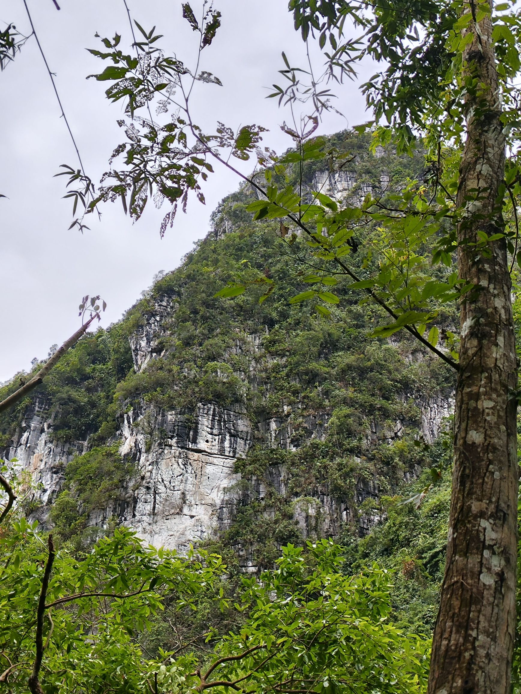 圣泉谷景区旅行图片 1