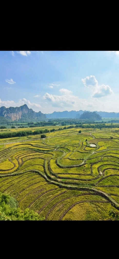 观景平台旅行图片 2