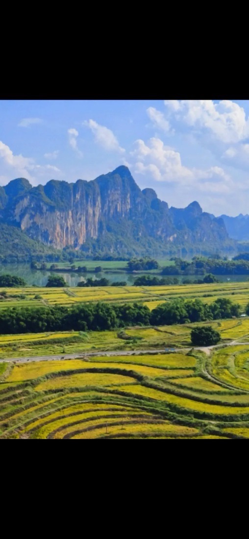 观景平台旅行图片 3