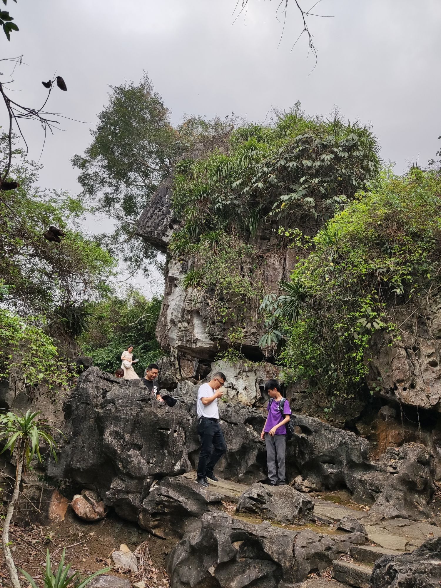 石景林景区旅行图片 3