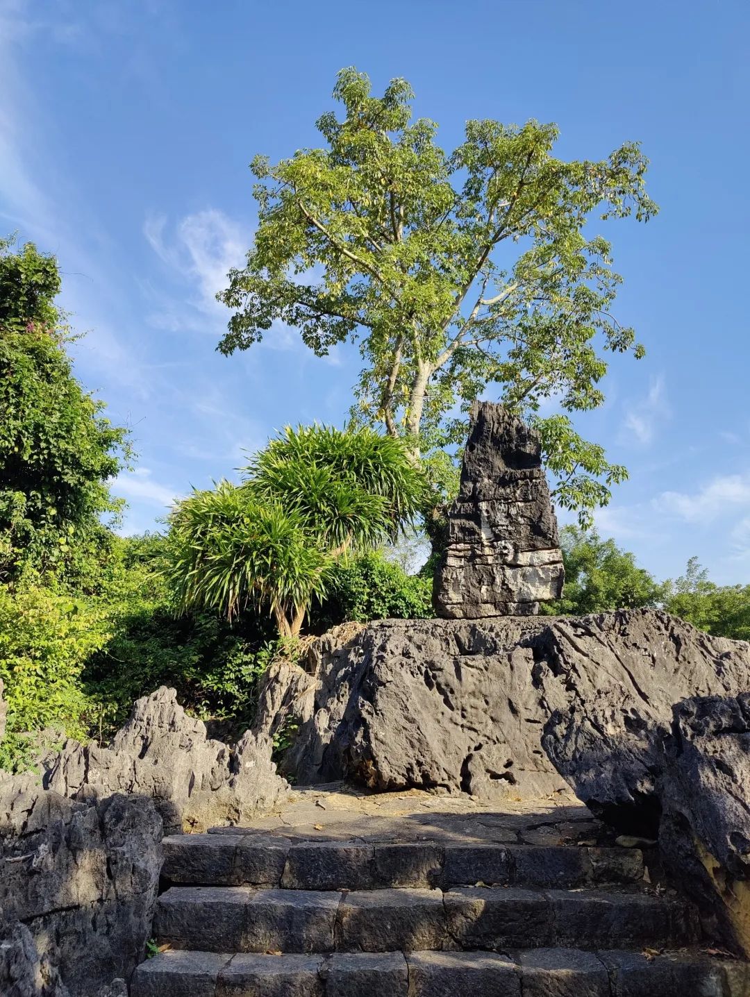 石景林景区旅行图片 2