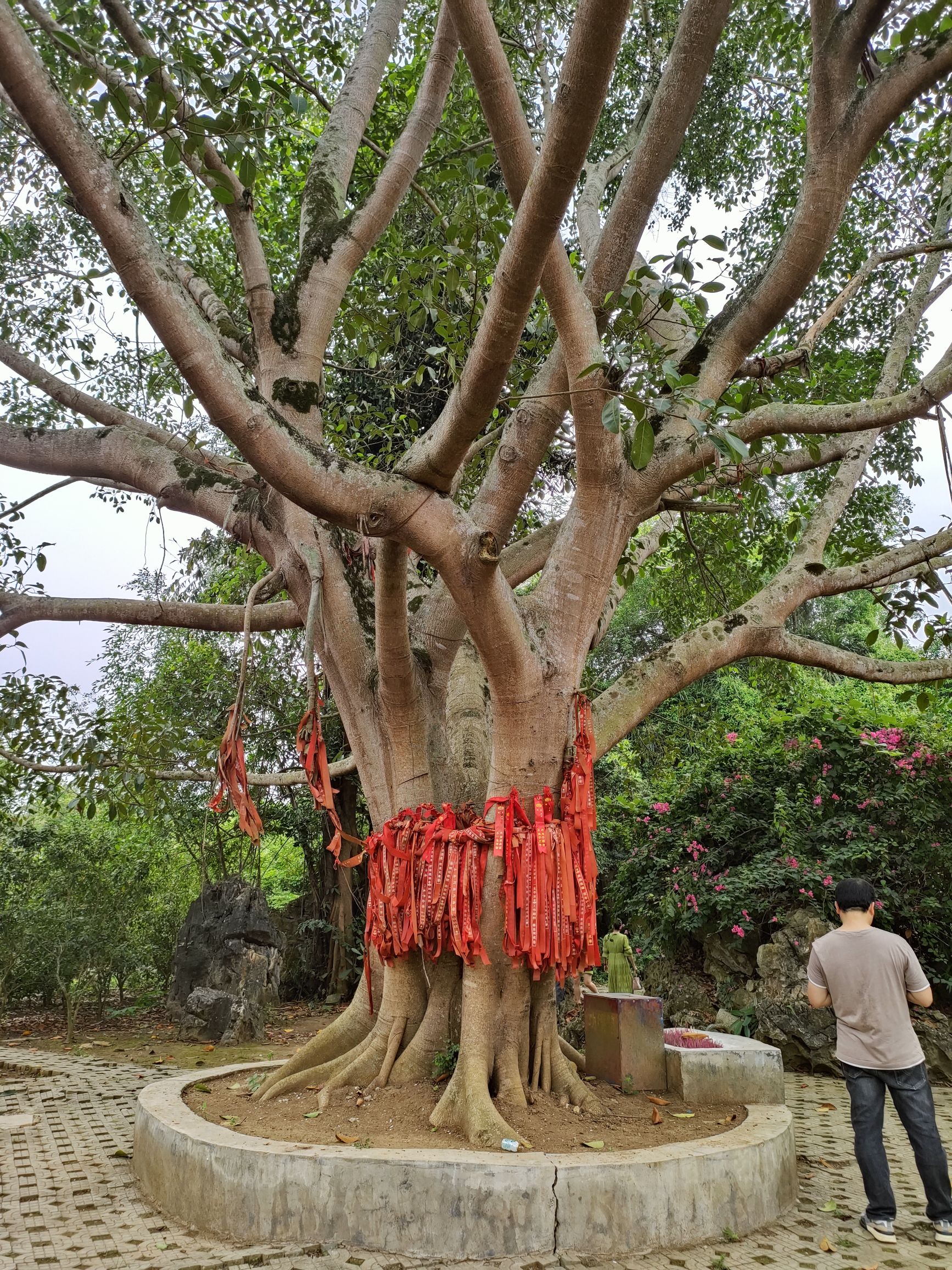 石景林景区旅行图片 3