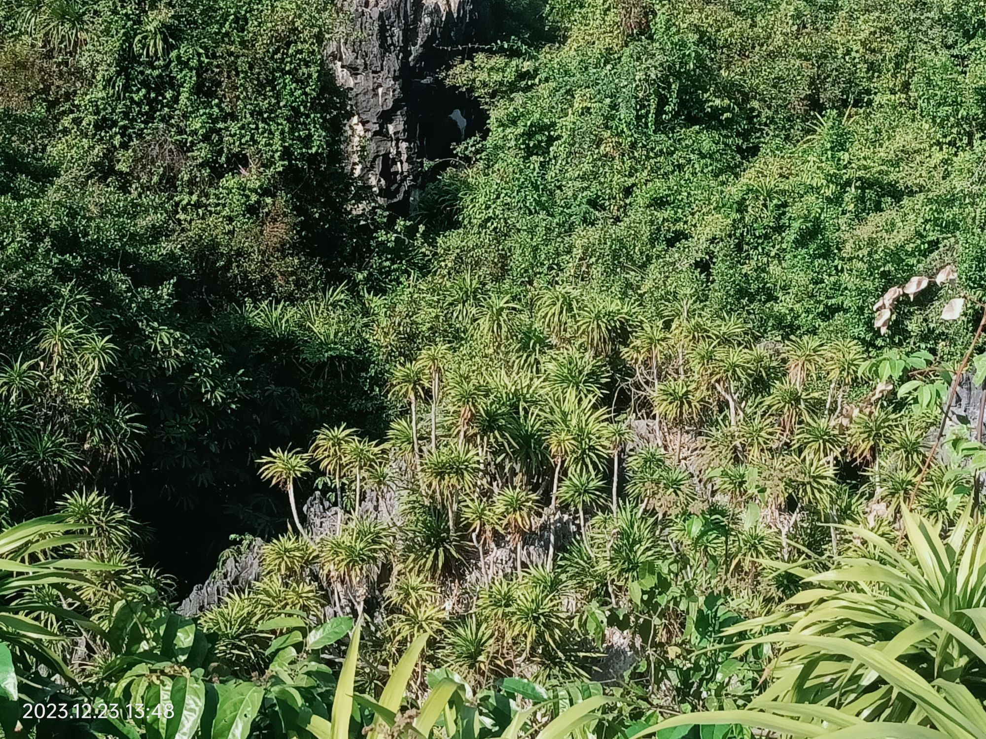 石景林景区旅行图片 2