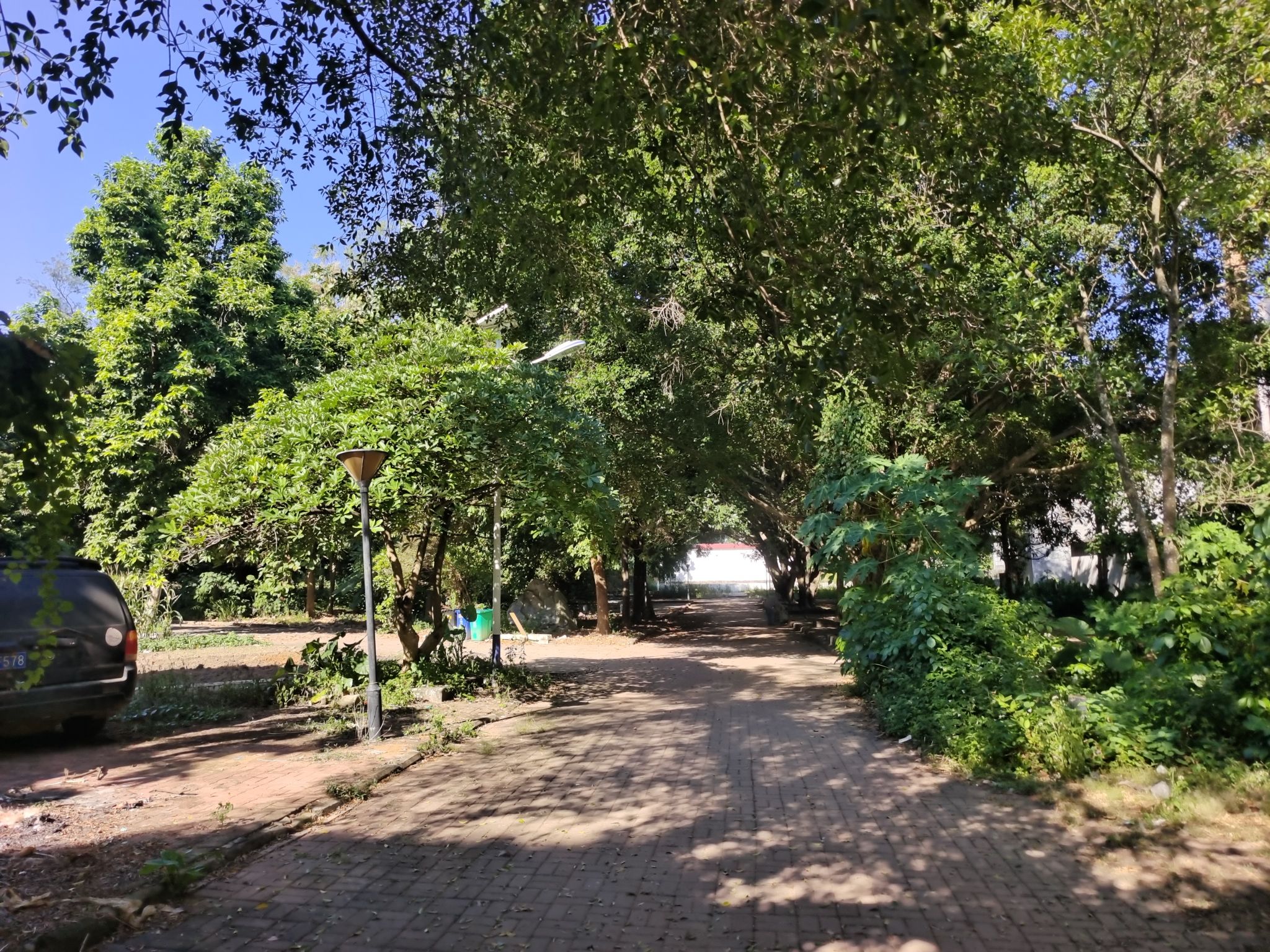 新和公园旅行图片 2