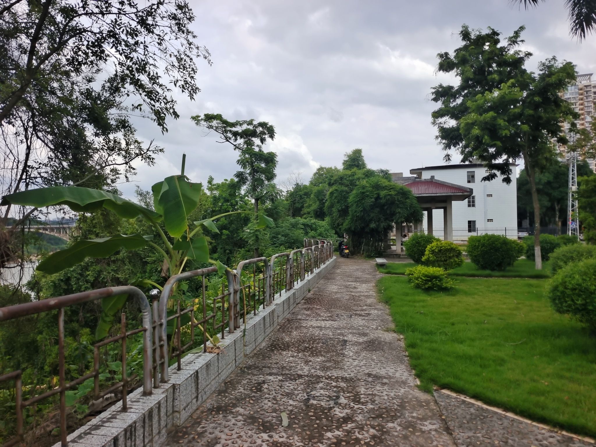 环江东路小游园旅行图片 2
