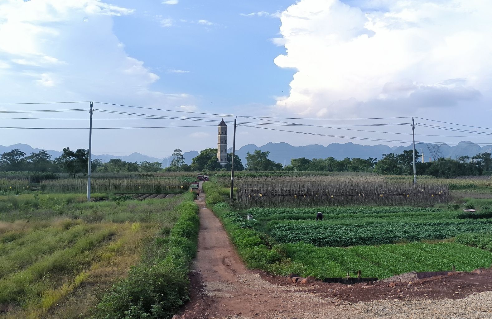 蓉峰塔旅行图片 3