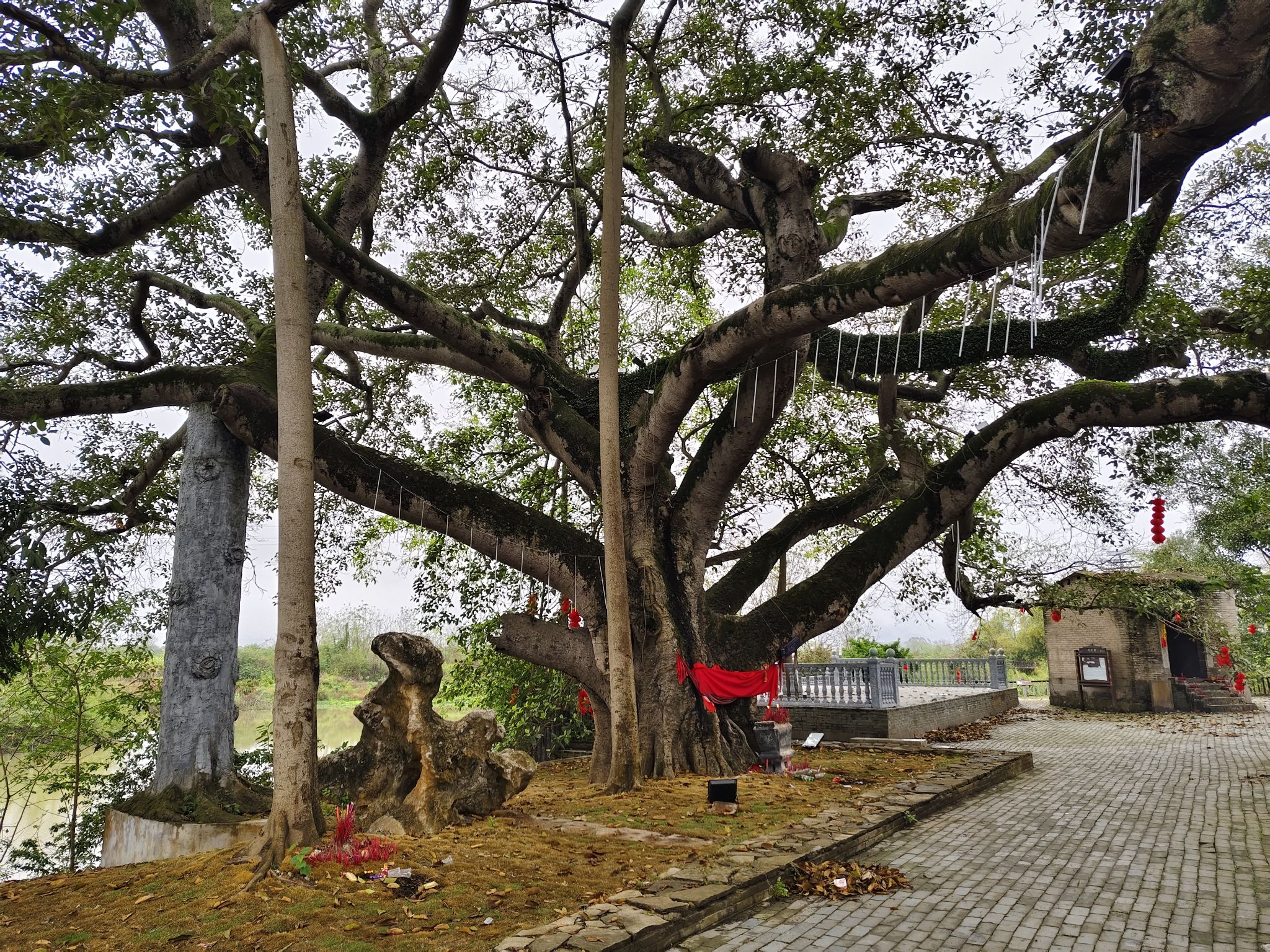 蓉峰塔旅行图片 2