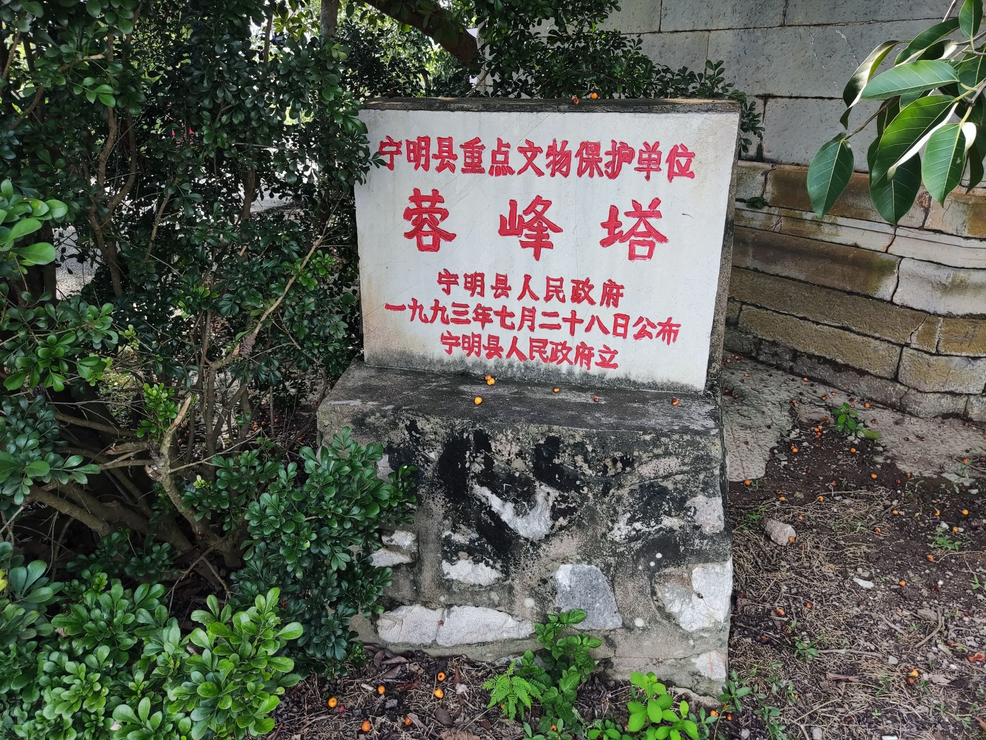 蓉峰塔旅行图片 2