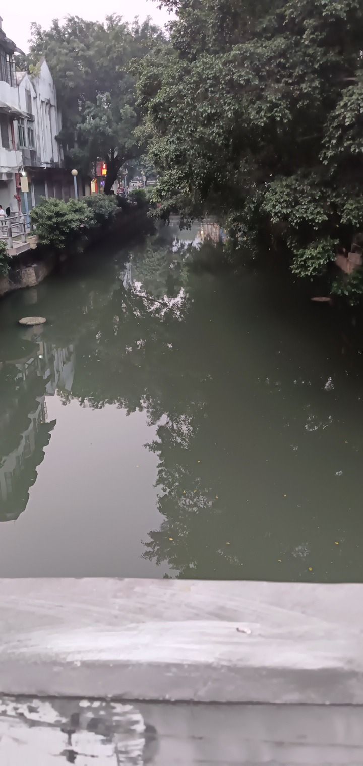 祥和广场旅行图片 1