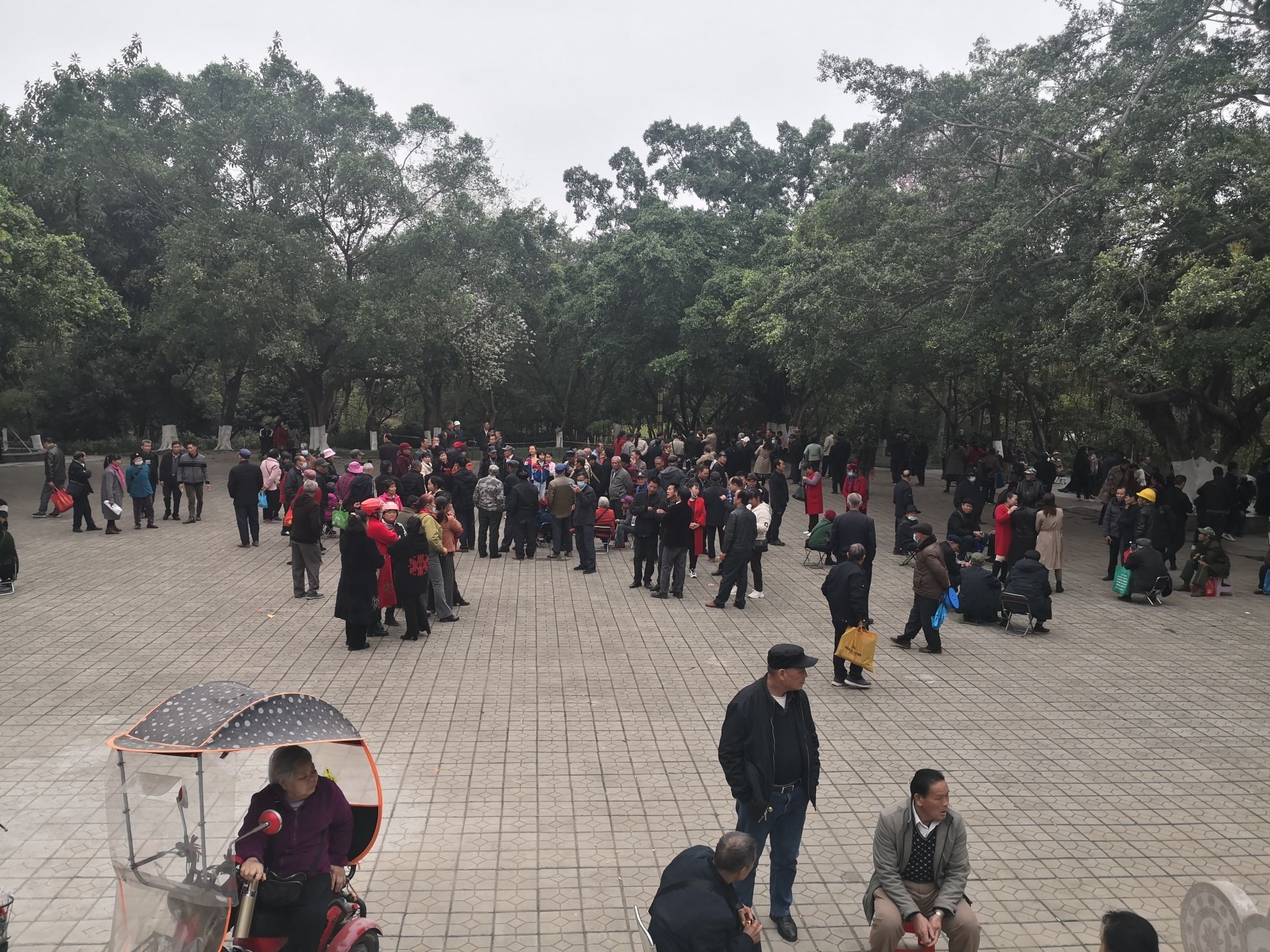 来宾市人民公园旅行图片 2